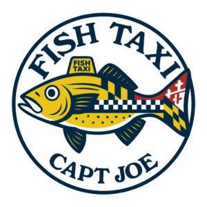 fish_taxi_logo