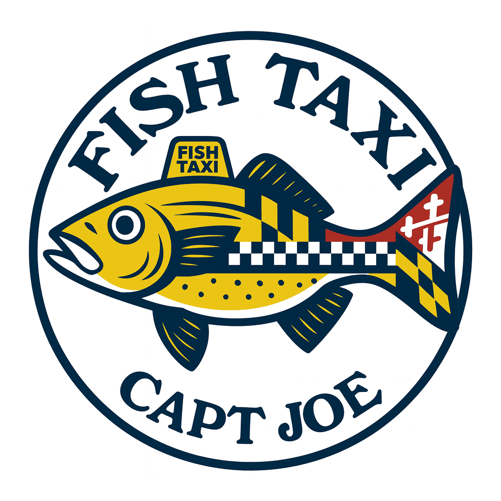 fish_taxi_logo